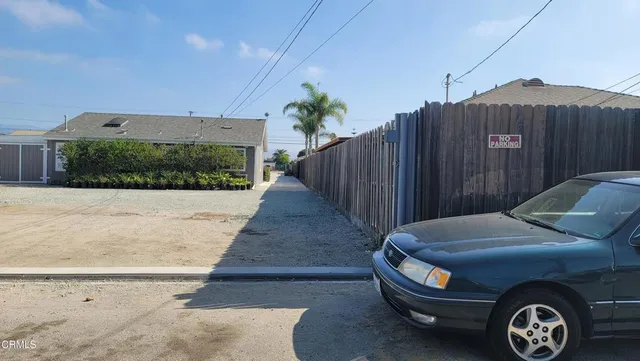 a view of a garden with plants