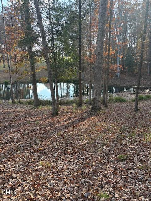 1302 Rocky Ford Road Louisburg, NC 27549 - Photo 17 of 26 a backyard of a house with lots of green space