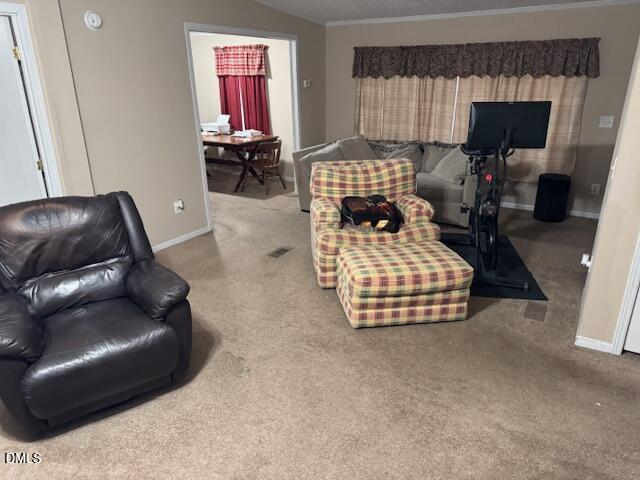1302 Rocky Ford Road Louisburg, NC 27549 - Photo 25 of 26 a living room with furniture and a couch