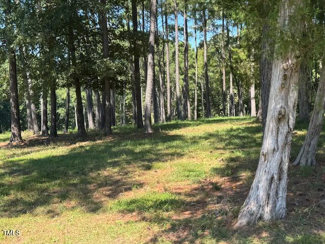 1302 Rocky Ford Road Louisburg, NC 27549 - Photo 7 of 26 a view of a yard with a tree