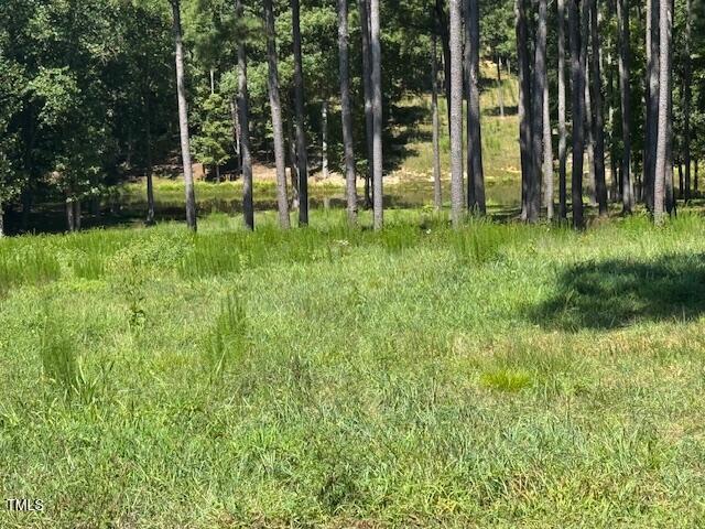 1302 Rocky Ford Road Louisburg, NC 27549 - Photo 8 of 26