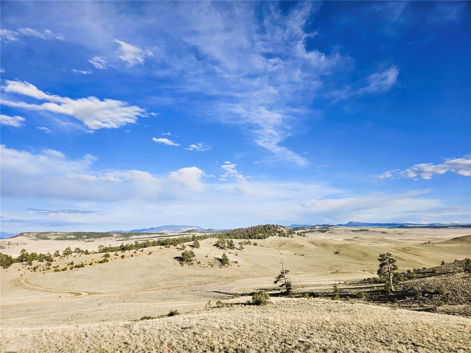 Pcs#24142 Antero Road Hartsel, CO 80449 - Photo 21 of 50