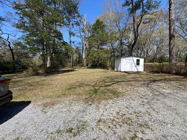 a view of backyard with large trees