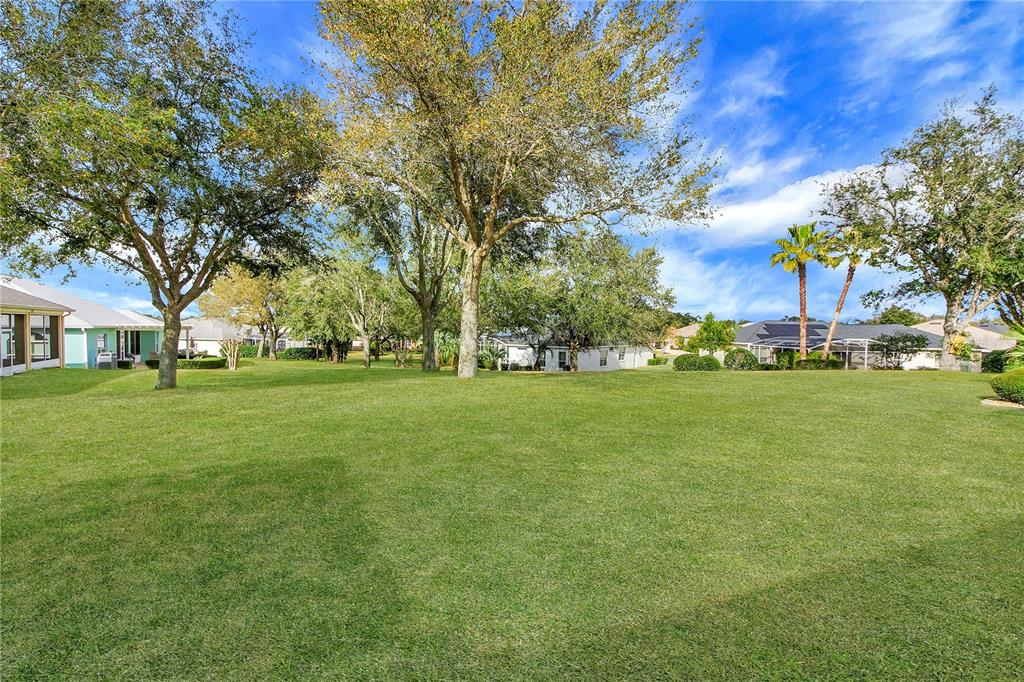 3715 Mulberry Grove Loop Leesburg, FL 34748 - Photo 22 of 48 a view of green field with tree in the background