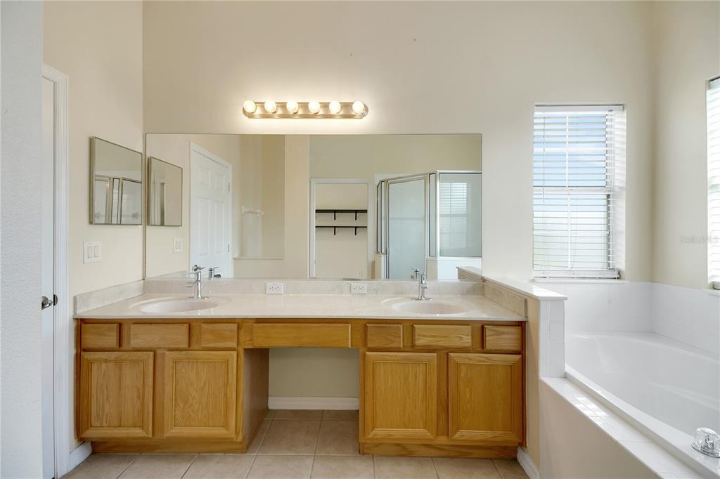 3715 Mulberry Grove Loop Leesburg, FL 34748 - Photo 32 of 48 a bathroom with a granite countertop sink a large mirror and a bathtub