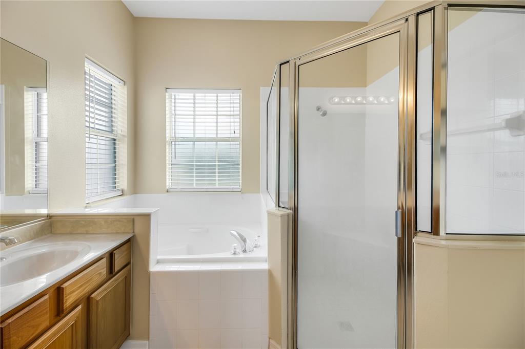 3715 Mulberry Grove Loop Leesburg, FL 34748 - Photo 33 of 48 a bathroom with a granite countertop sink and a bathtub