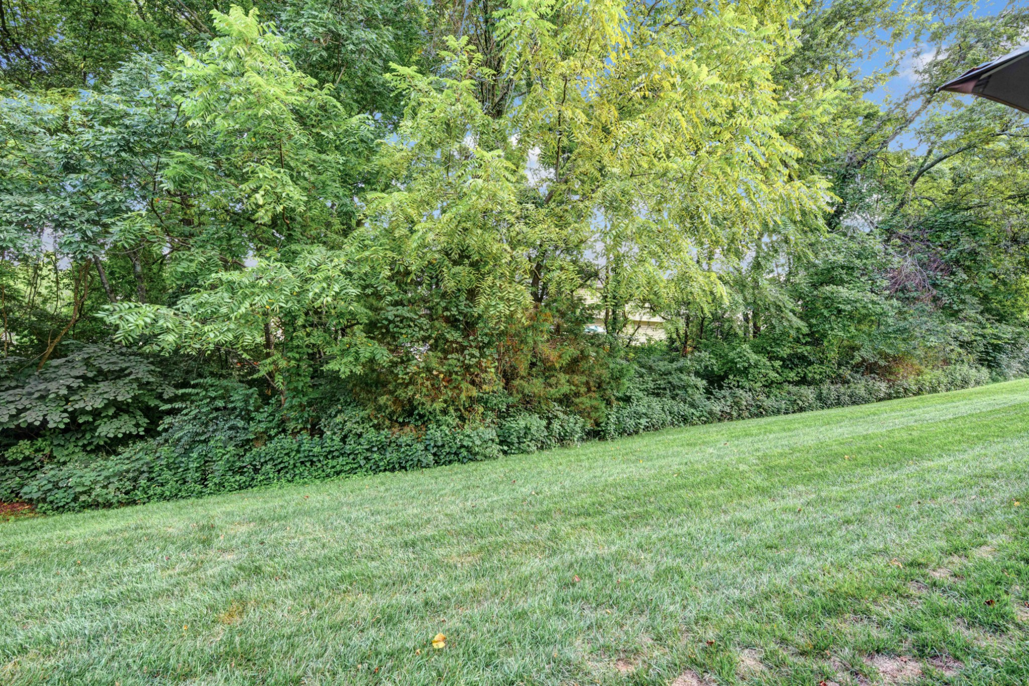 305 Windgrove Terrace Mount Juliet, TN 37122 - Photo 20 of 20 a view of a big yard with plants and large trees