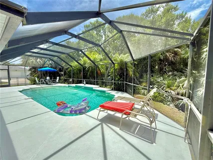 a view of a yard with plants and large trees