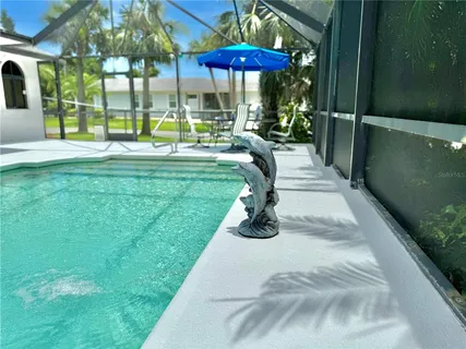a view of a backyard with plants and a bench