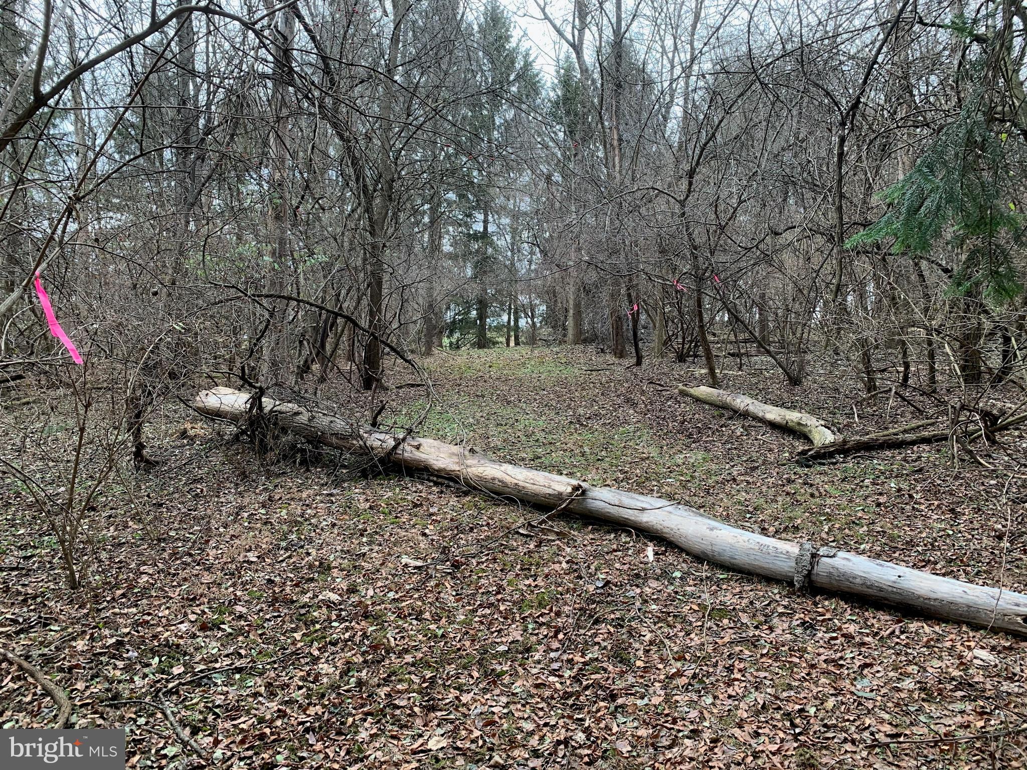 0 Schaeffer Road Bernville, PA 19506 - Photo 1 of 6 perk & probe site