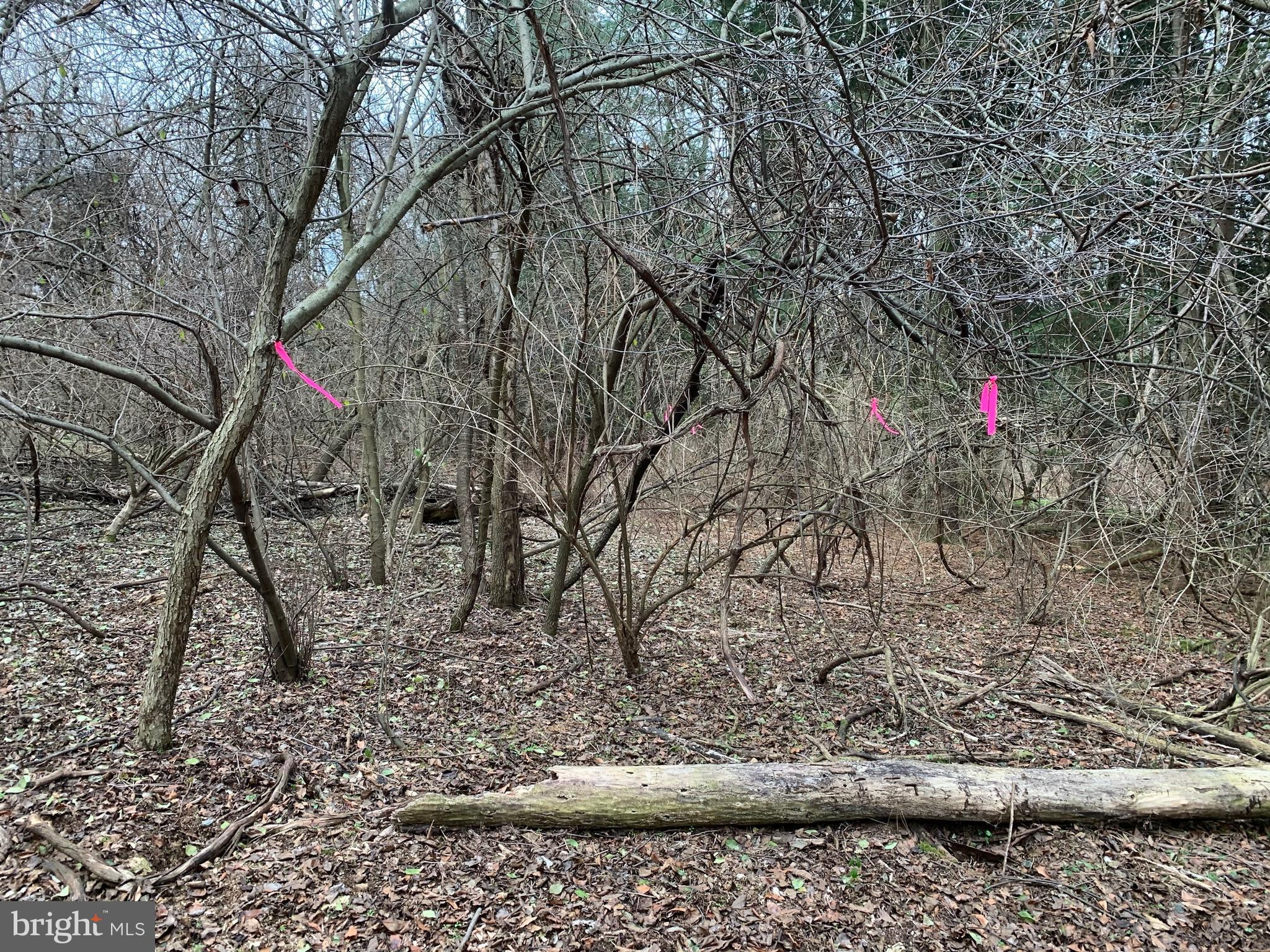 0 Schaeffer Road Bernville, PA 19506 - Photo 2 of 6 perk & probe site