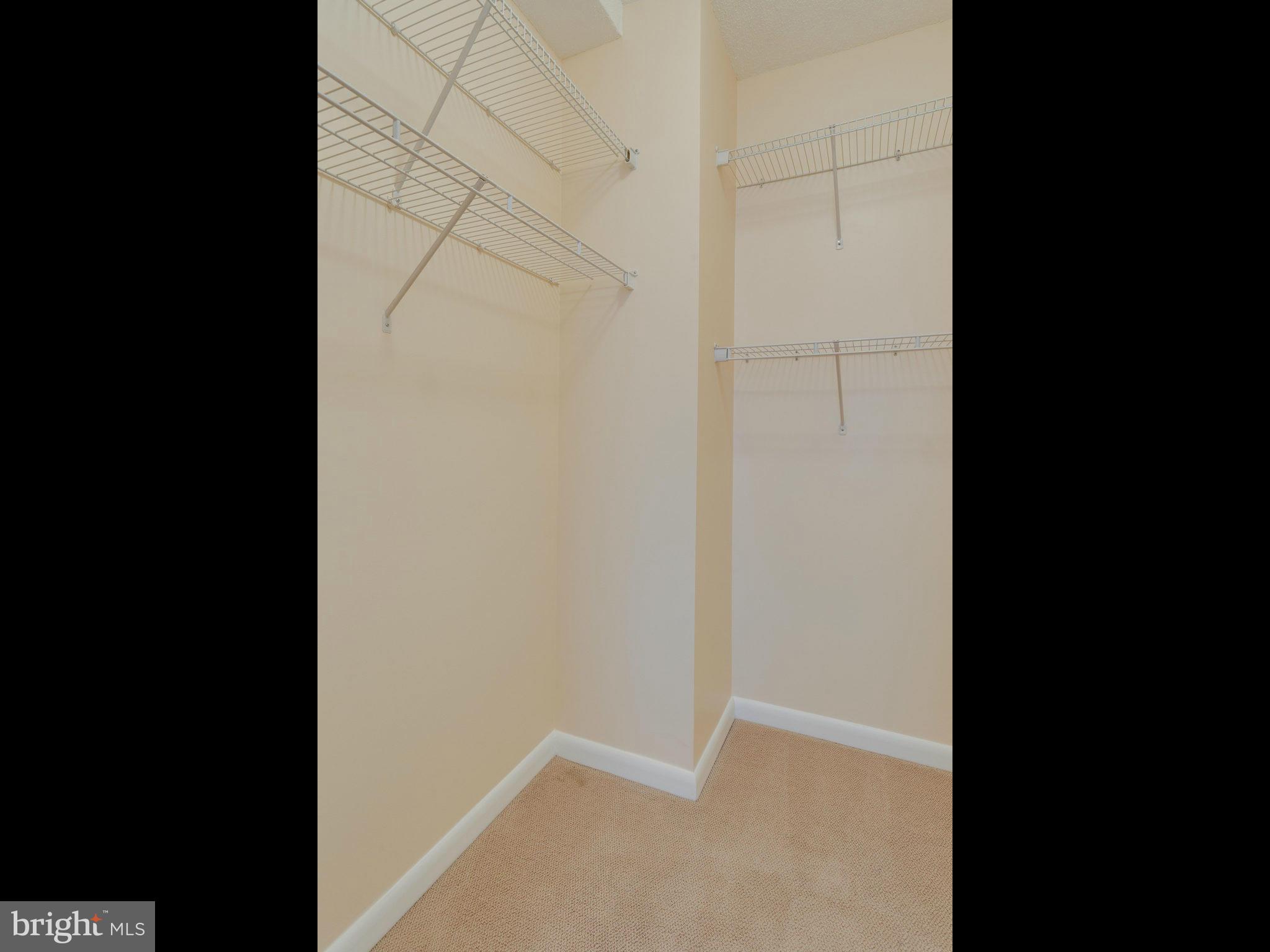 1111 11th Street Northwest, Unit 510 Washington, DC 20001 - Photo 23 of 28 Walk-in Closet