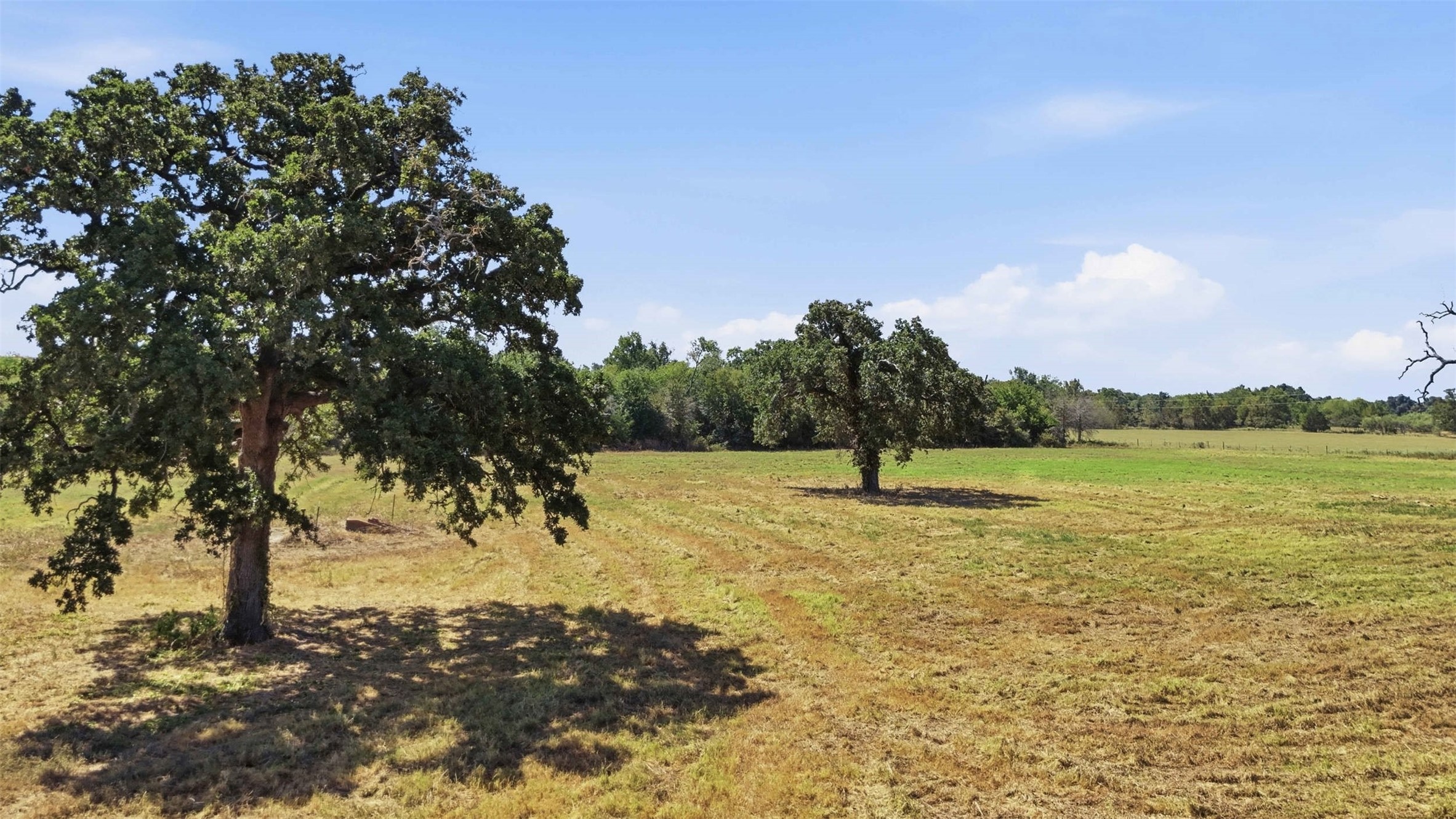 979 Rd Franklin Tx 77856 Road Franklin, TX 77856 - Photo 3 of 6 Gallery Image 3