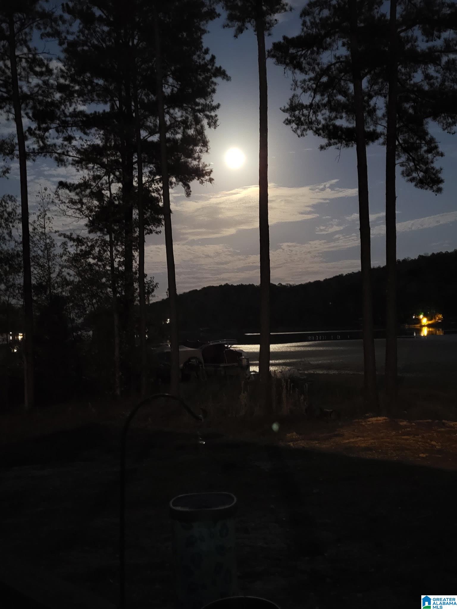 555 Reed Road Ashville, AL 35953 - Photo 7 of 7