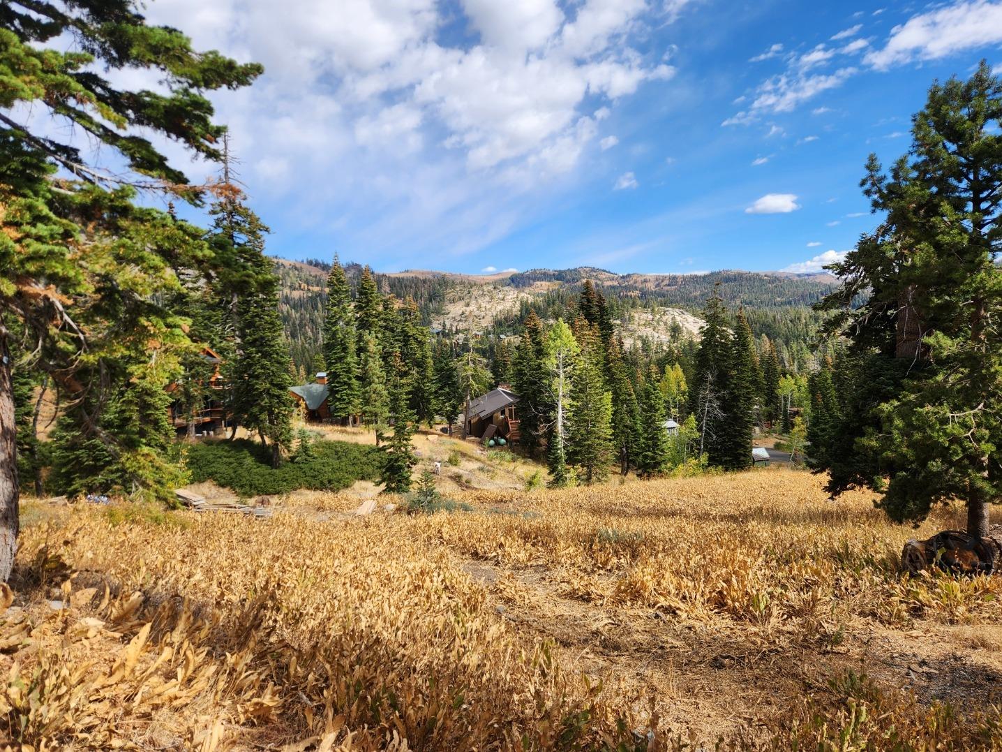 452 Snowshoe Road Bear Valley, CA 95223 - Photo 1 of 1 Gallery Image 1