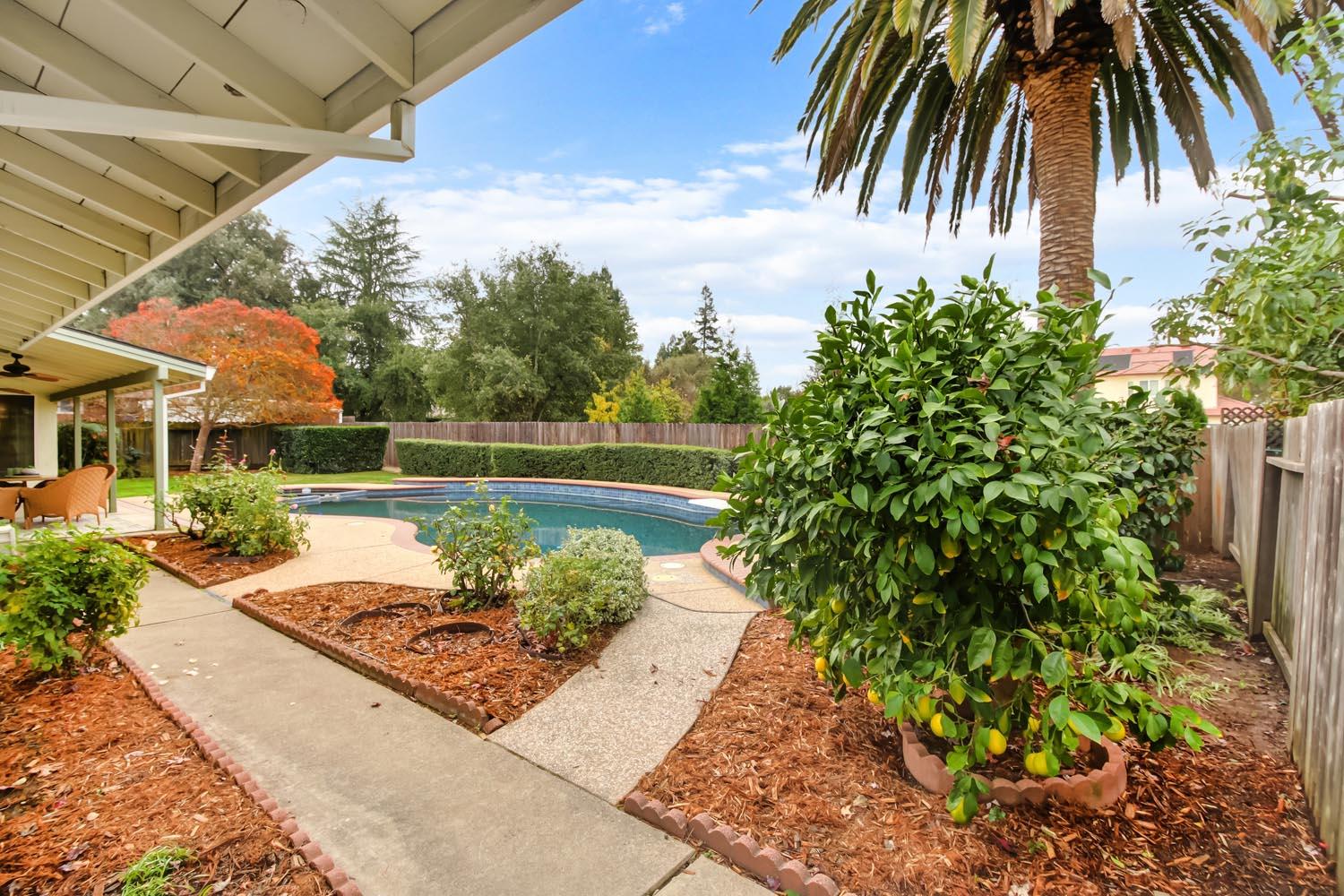 2964 Marco Way Carmichael, CA 95608 - Photo 45 of 49 a view of a backyard with potted plants