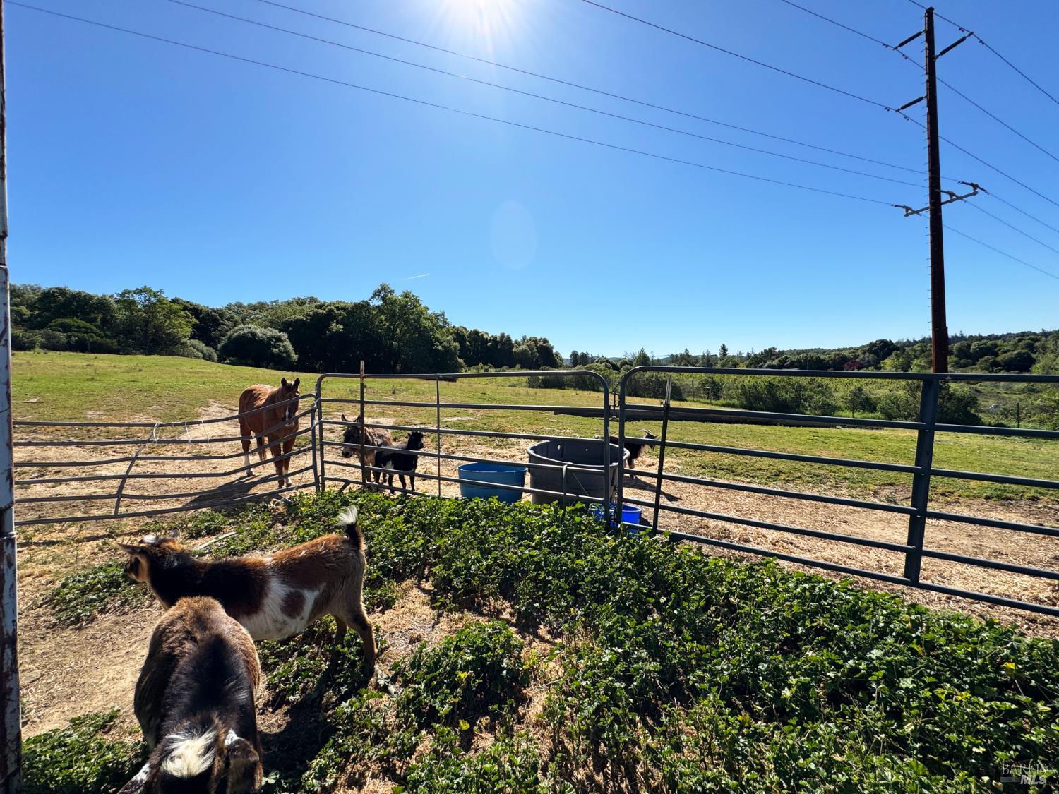 3997 Eastside Calpella Road Ukiah, CA 95482 - Photo 31 of 78