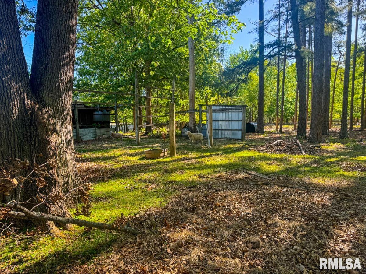 0 Laminack Road Carterville, IL 62918 - Photo 11 of 16