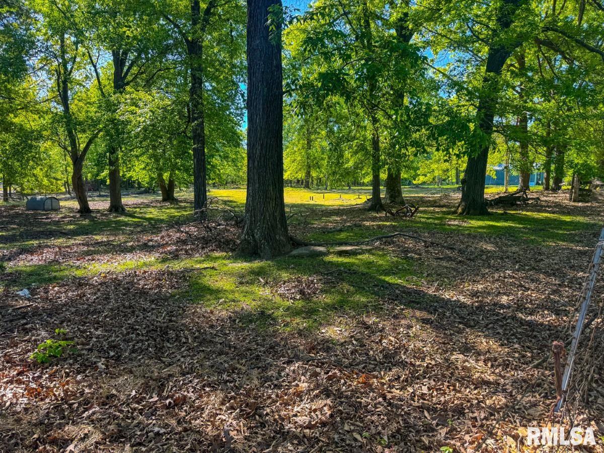 0 Laminack Road Carterville, IL 62918 - Photo 12 of 16