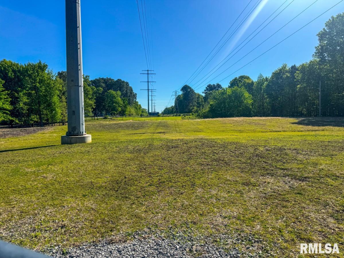 0 Laminack Road Carterville, IL 62918 - Photo 8 of 16