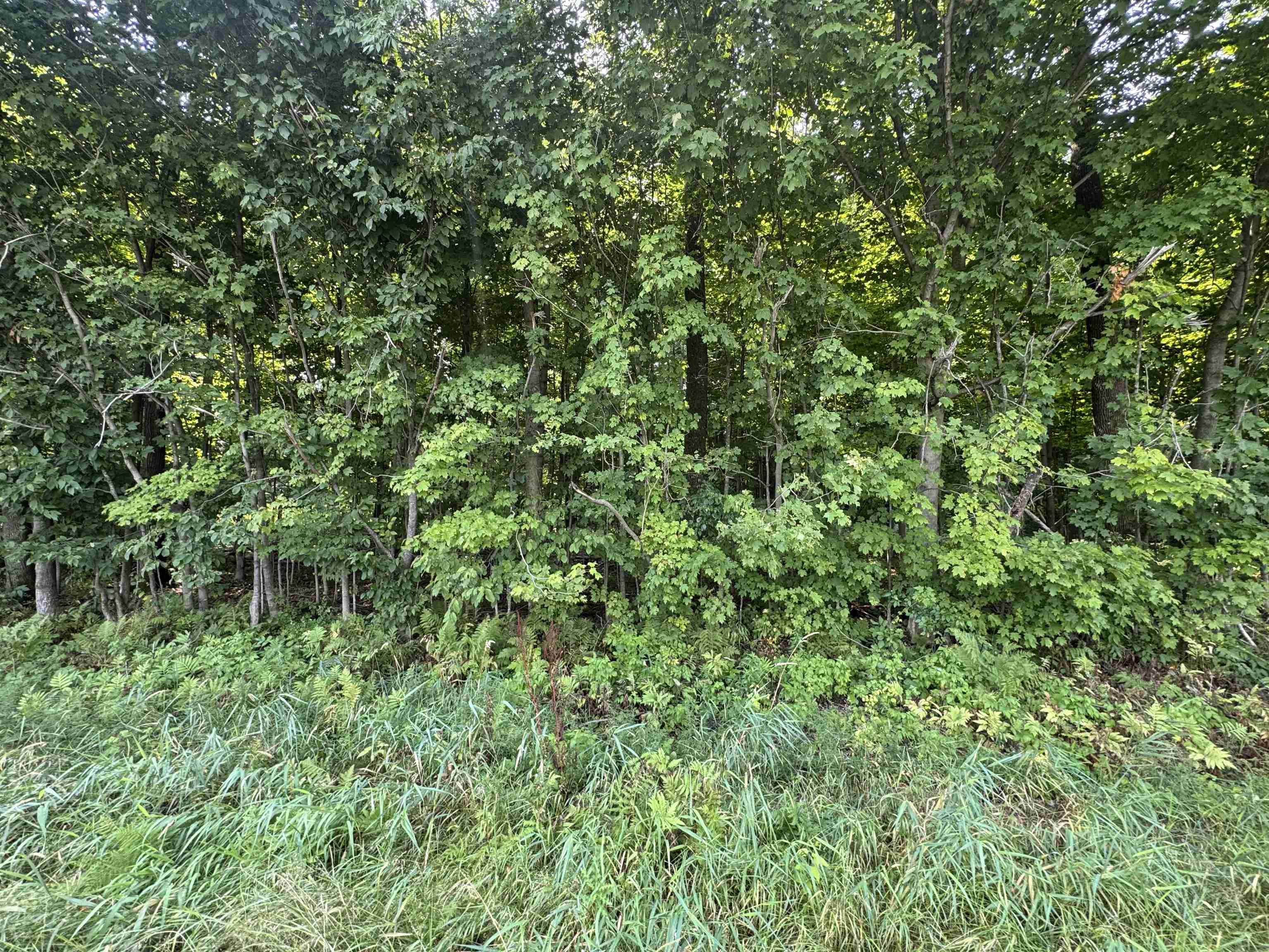 Lot 13 Burma Road Mosinee, WI 54455 - Photo 5 of 7 Gallery Image 5