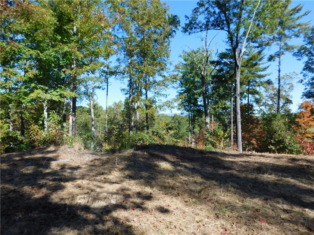 Lot 5 Old Chapman Bridge Road Salem, SC 29676 - Photo 3 of 6 Gallery Image 3