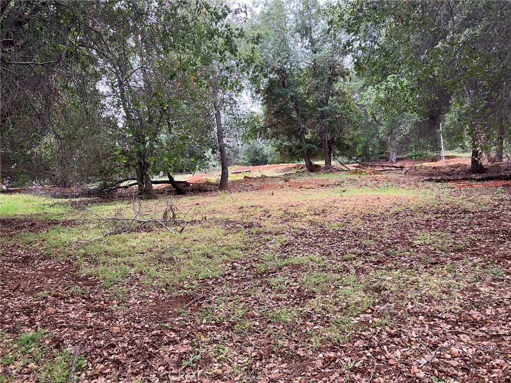 3153 South Lake Drive Kelseyville, CA 95451 - Photo 1 of 4