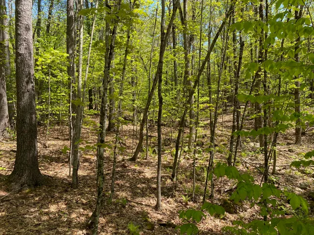 $199,000 | 0 Westview Drive, Raymond, ME 04071