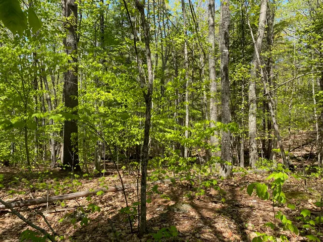 $199,000 | 0 Westview Drive, Raymond, ME 04071