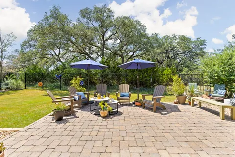 a view of a yard with plants and a large tree