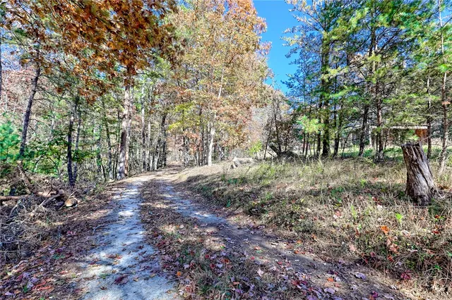 $799,000 | 225 Whetstone Mountain Rd Mountain Rest, Mountain Rest, SC 29664