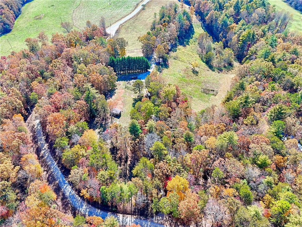 225 Whetstone Mountain Rd Mountain Rest Mountain Rest, SC 29664 - Photo 47 of 50