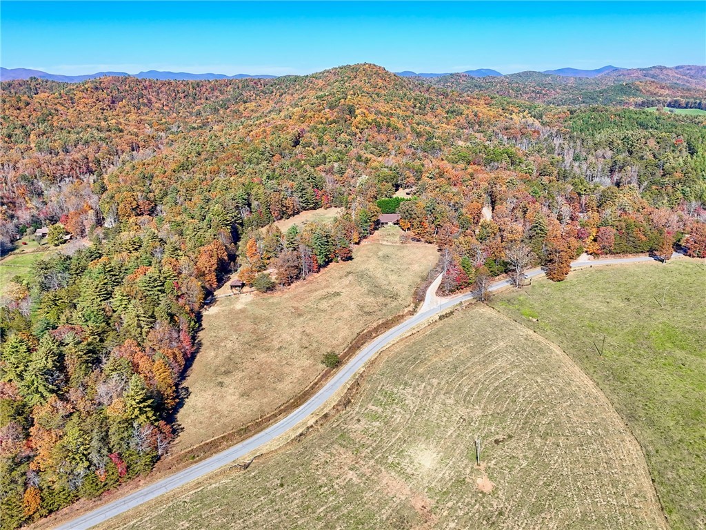 225 Whetstone Mountain Rd Mountain Rest Mountain Rest, SC 29664 - Photo 50 of 50