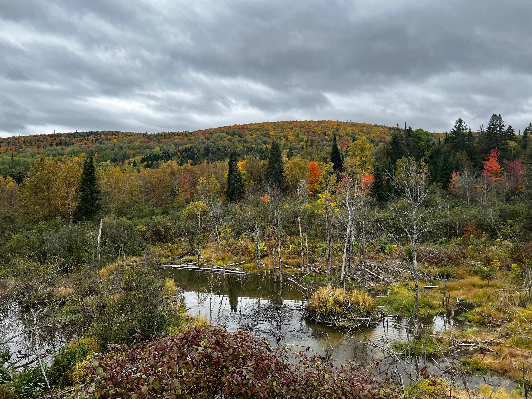 500 Violette Settlement Road Fort Kent, ME 04743 - Photo 5 of 11 IMG_0430