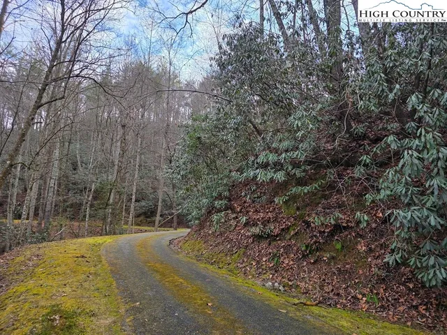a view of outdoor space with trees