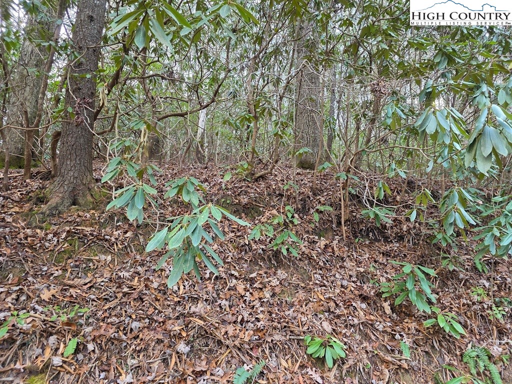 Lot 105 Holleridge Road Ferguson, NC 28624 - Photo 14 of 42 a backyard of a house with lots of green space