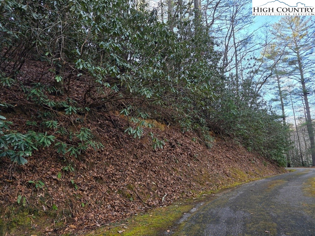 Lot 105 Holleridge Road Ferguson, NC 28624 - Photo 17 of 42 a view of a forest with a tree