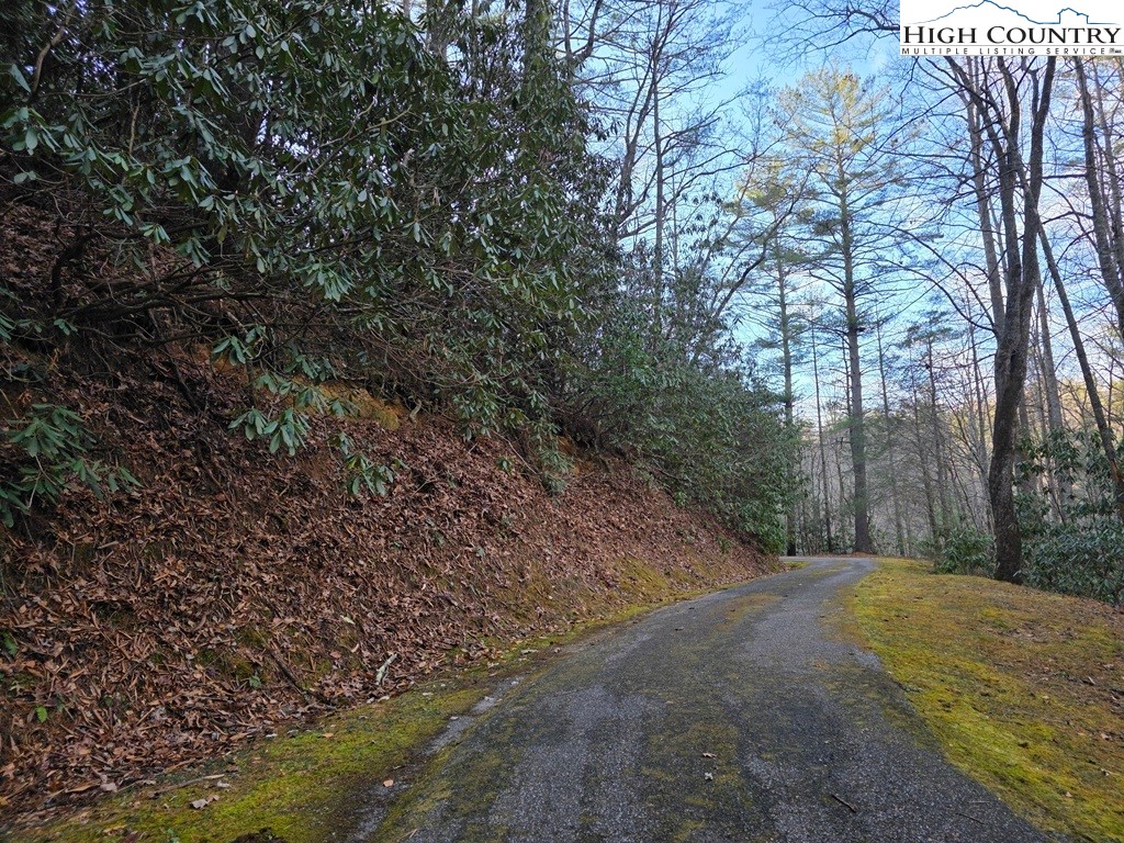 Lot 105 Holleridge Road Ferguson, NC 28624 - Photo 18 of 42 a view of a yard with large trees