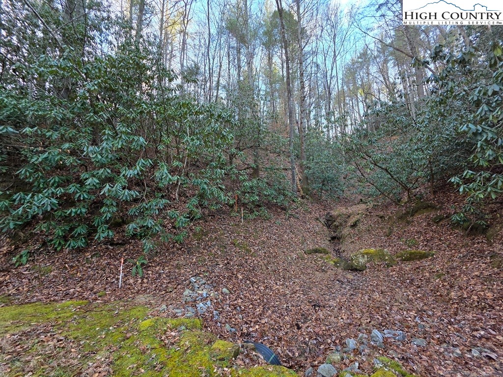 Lot 105 Holleridge Road Ferguson, NC 28624 - Photo 24 of 42 a view of a yard with a tree