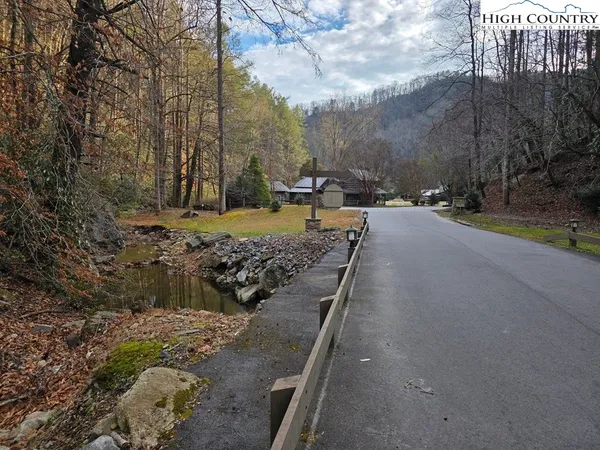 a view of a yard with large trees