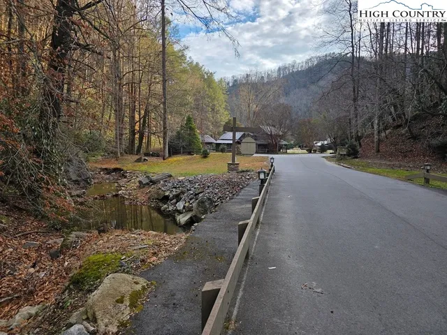 a view of a yard with large trees