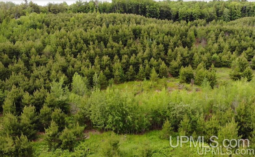 Tbd Off Indian Road Lanse, MI 49946 - Photo 2 of 14