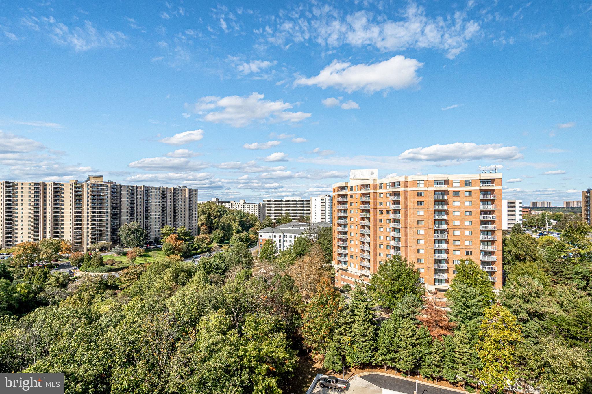 6101 Edsall Road, Unit 1704 Alexandria, VA 22304 - Photo 45 of 66