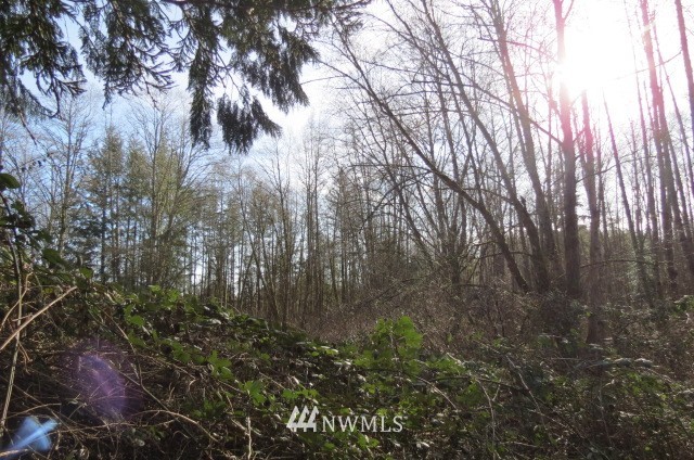 1000 H Street Road Lynden, WA 98264 - Photo 12 of 12