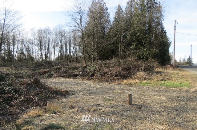 1000 H Street Road Lynden, WA 98264 - Photo 6 of 12