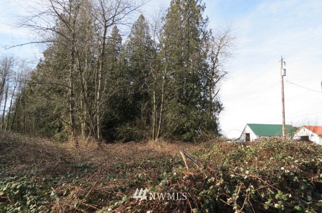 1000 H Street Road Lynden, WA 98264 - Photo 8 of 12