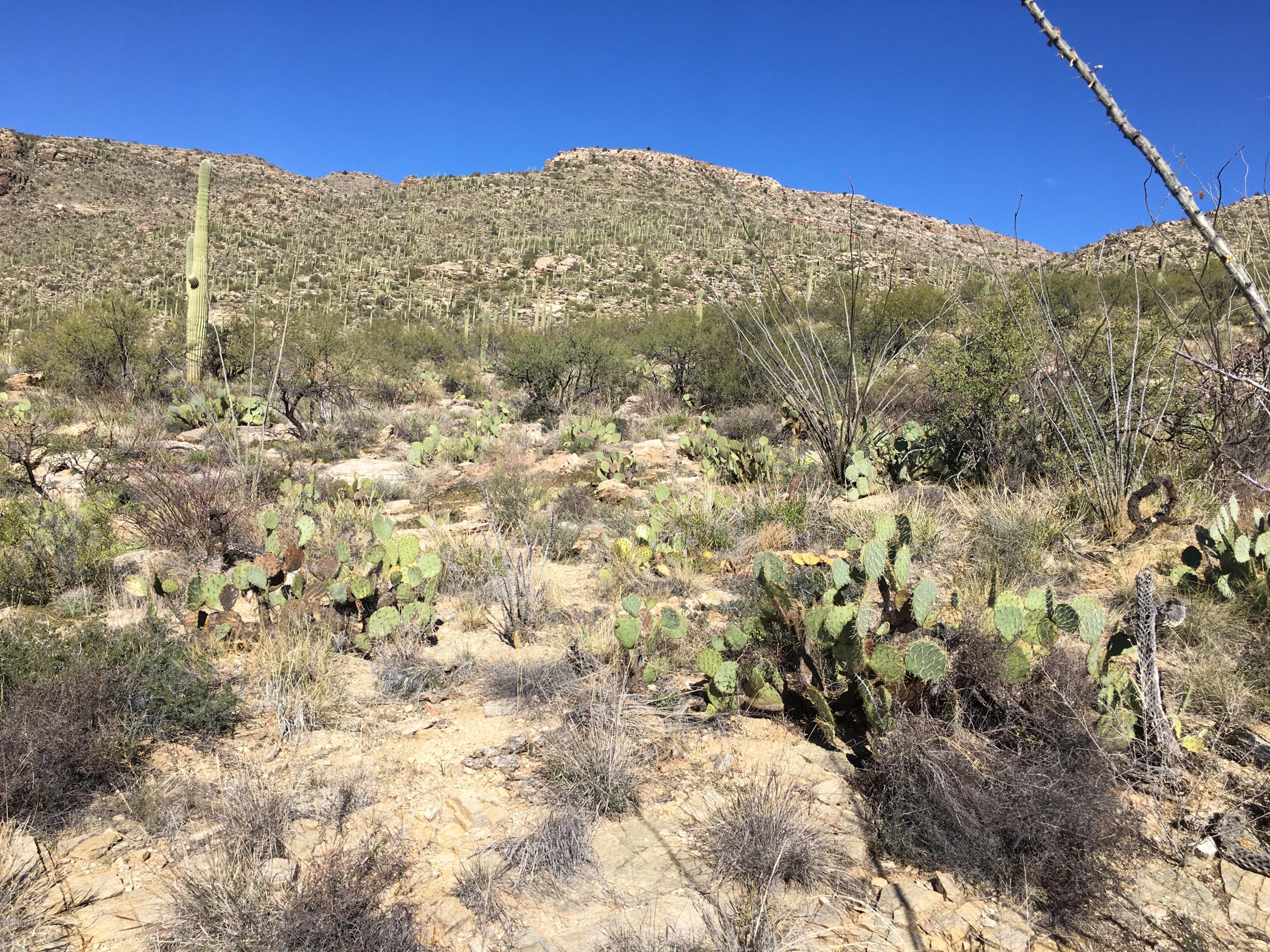 5483 North Wentworth Road Tucson, AZ 85749 - Photo 9 of 14