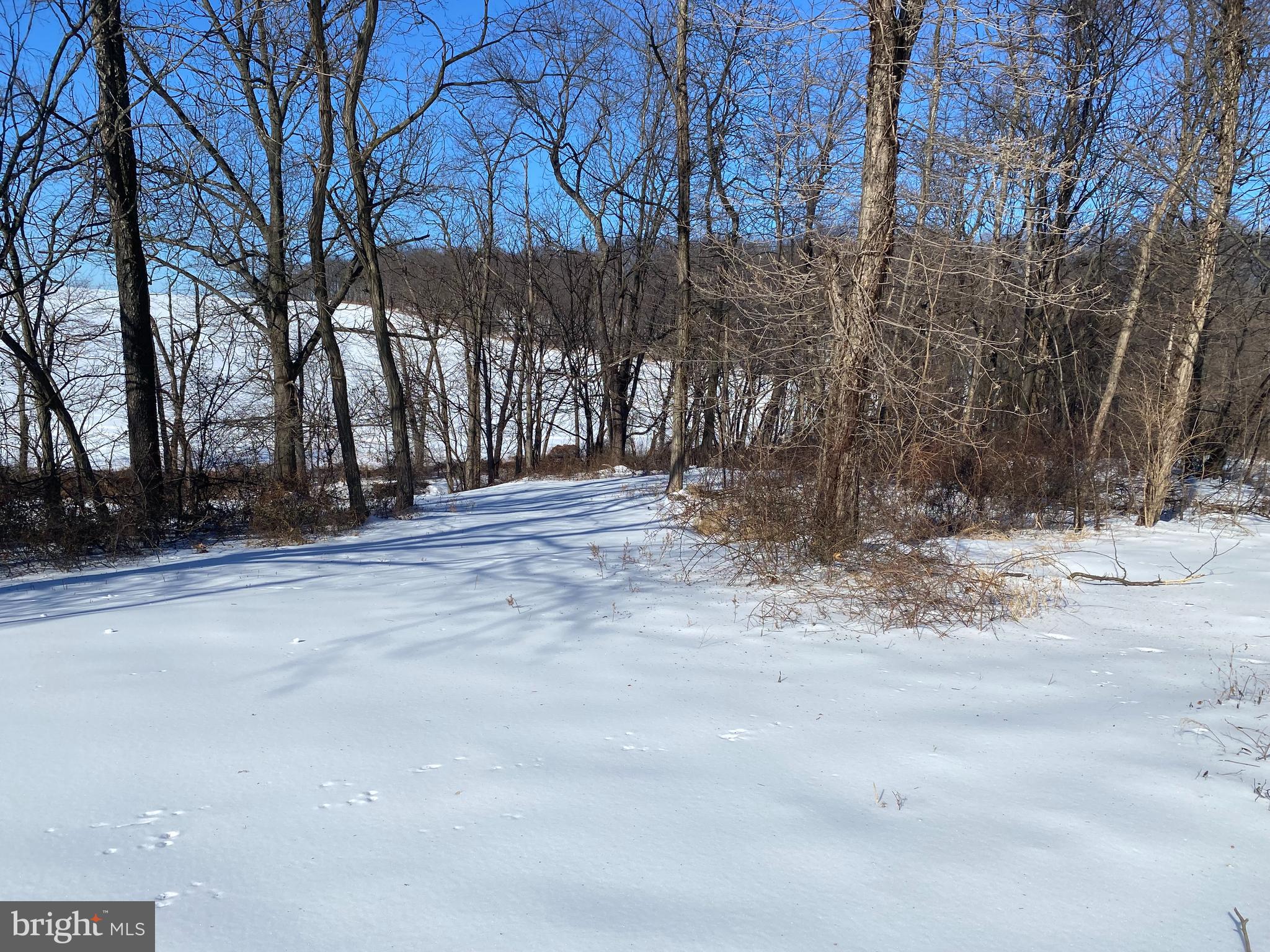 10400 Enfield Road Felton, PA 17322 - Photo 12 of 36 a view of road with trees