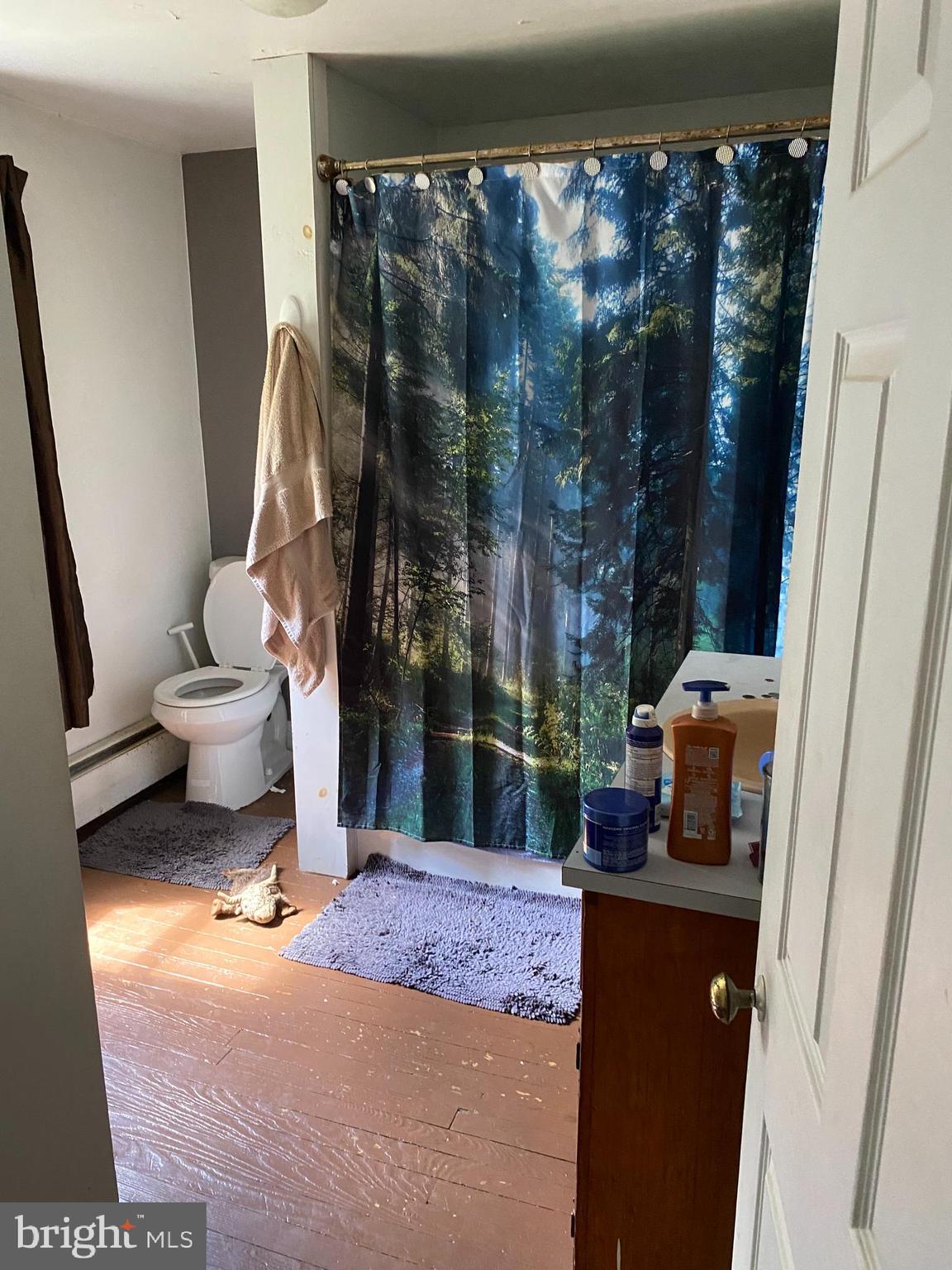 10400 Enfield Road Felton, PA 17322 - Photo 30 of 36 a bathroom with a toilet a sink and a shower