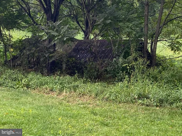 a view of outdoor space and green space